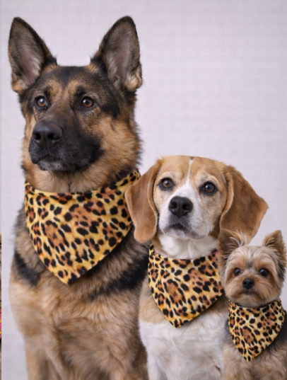 Mad Drool Companion™ Animal Bandanas - Safari Collection