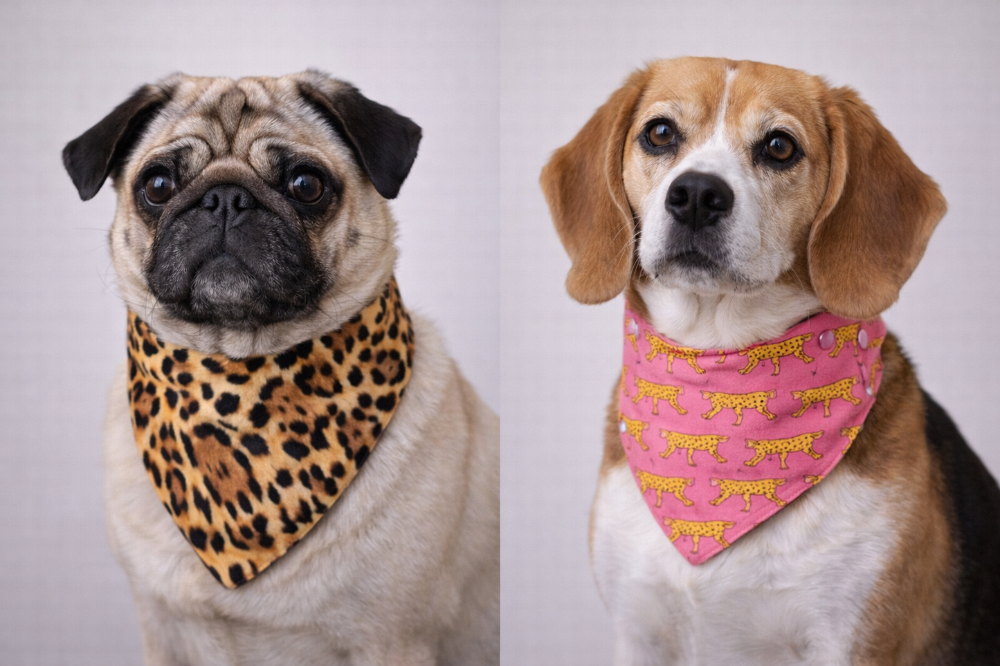 Mad Drool Companion™ Animal Bandanas - Safari Collection