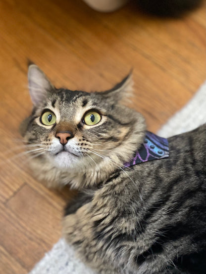 Mad Drool Companion™ Animal Bandanas