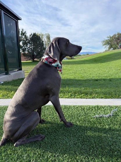 Mad Drool Companion™ Animal Bandanas