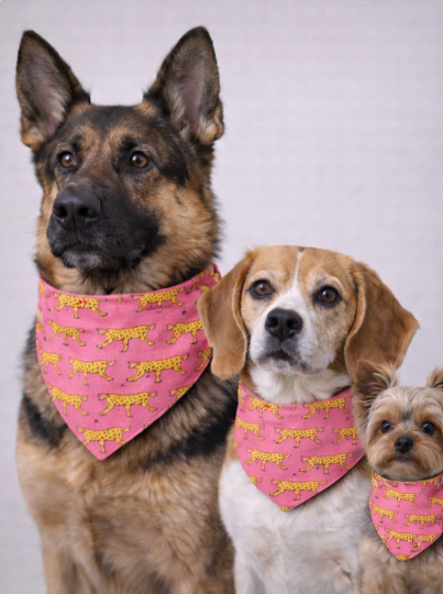 Mad Drool Companion™ Animal Bandanas - Safari Collection